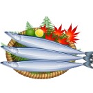 秋刀魚 サンマ は秋の味覚の代表 大根おろしはガンに 優れた予防と栄養 ソーシャルトピッククラブ